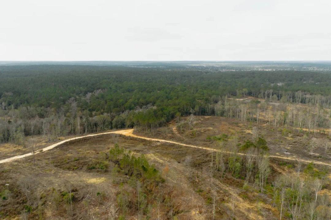 216 Acres in Perry County, MS