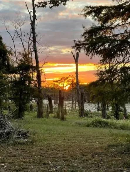 8+/- Acres of Prime Recreational Land on Foster Lake – Wilkinson County, MS