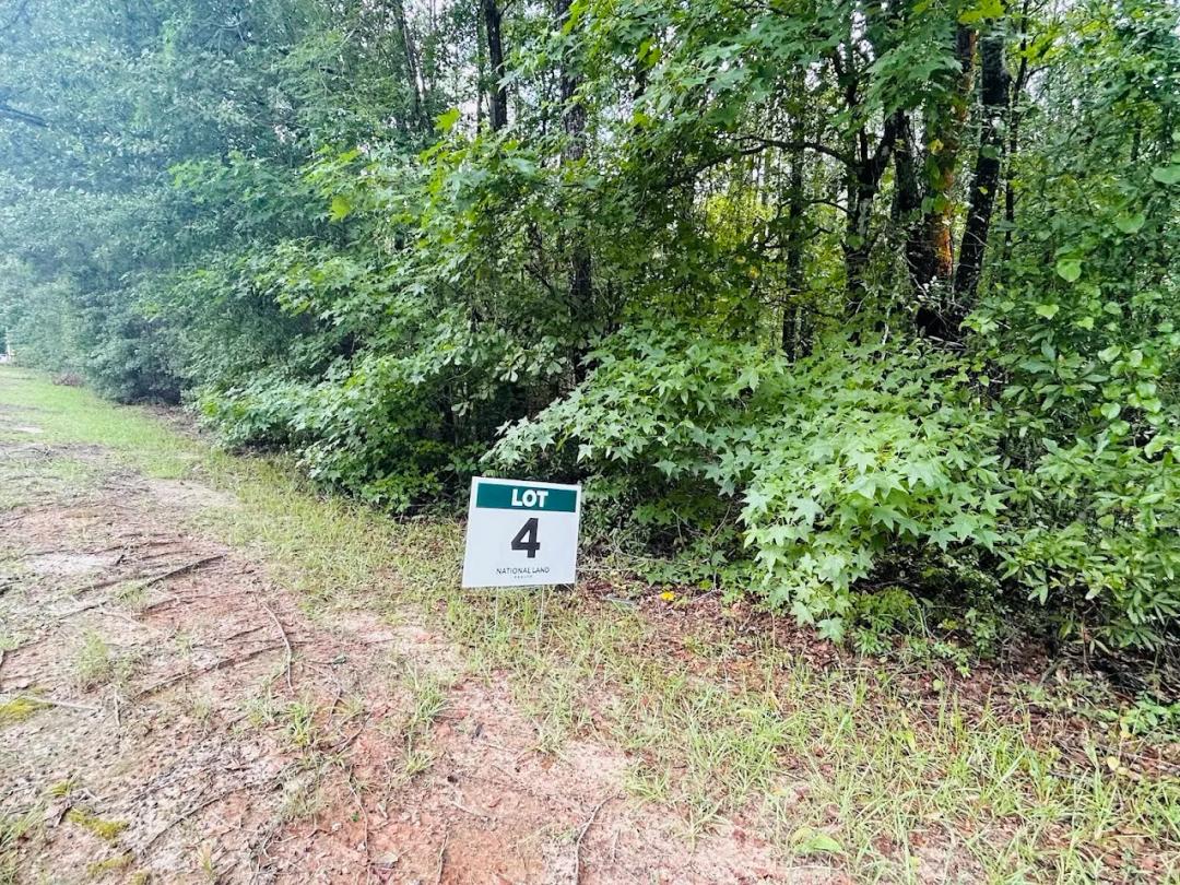 4.92 Acres at 0 Kings Mill Road