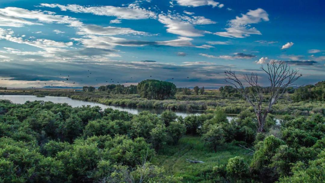 Henry's Fork Confluence Ranch