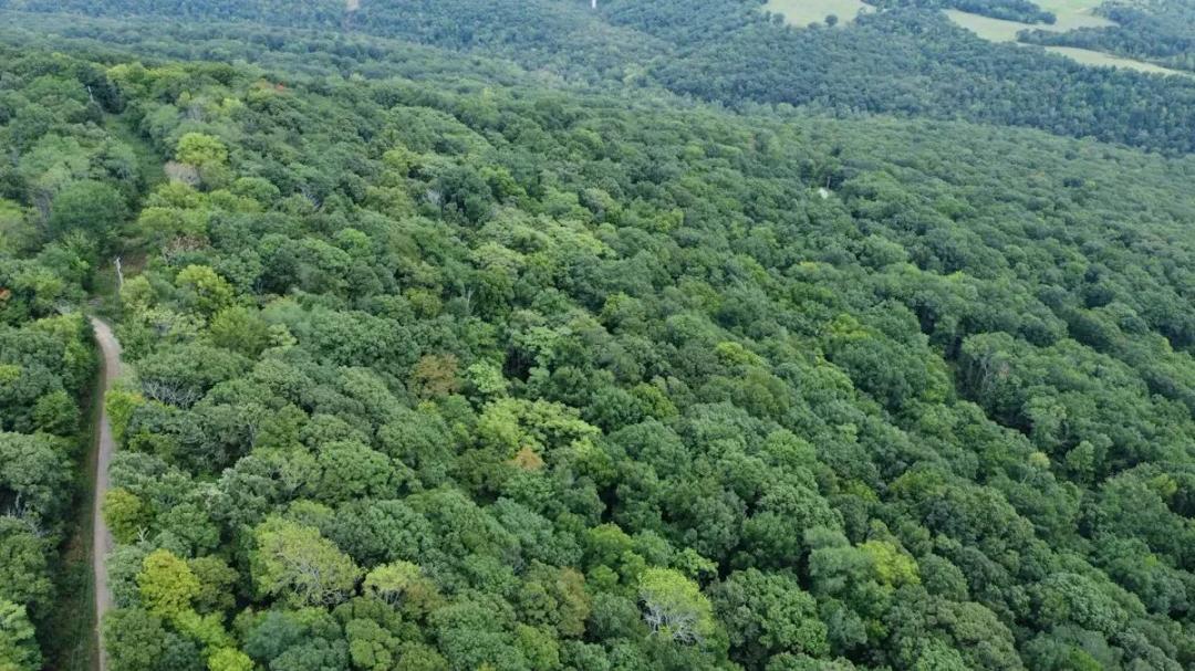 Devil's Den Wooded Oasis