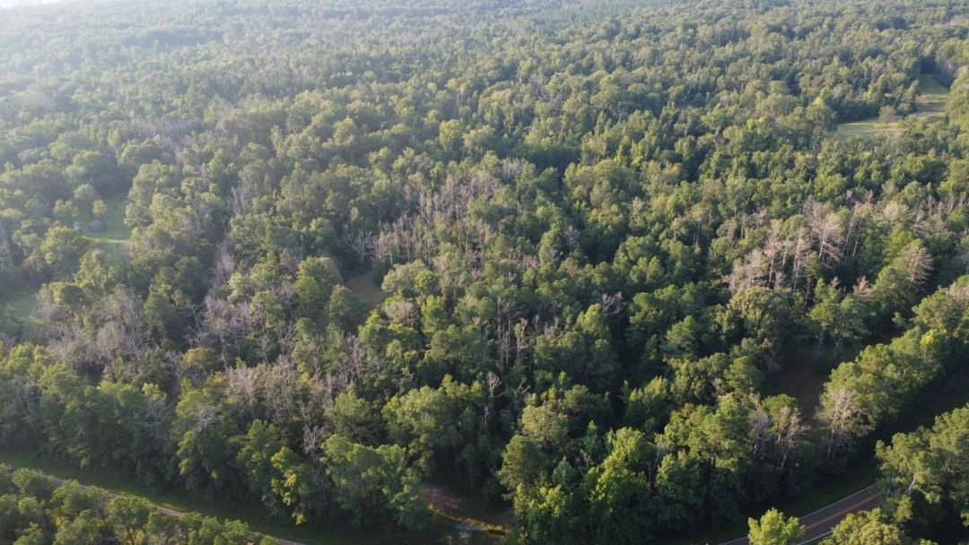 5.46 Acres in Copiah County, MS