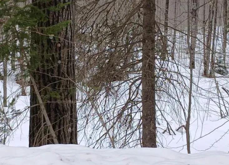 Waterfront Lot in Gogebic County 50203317