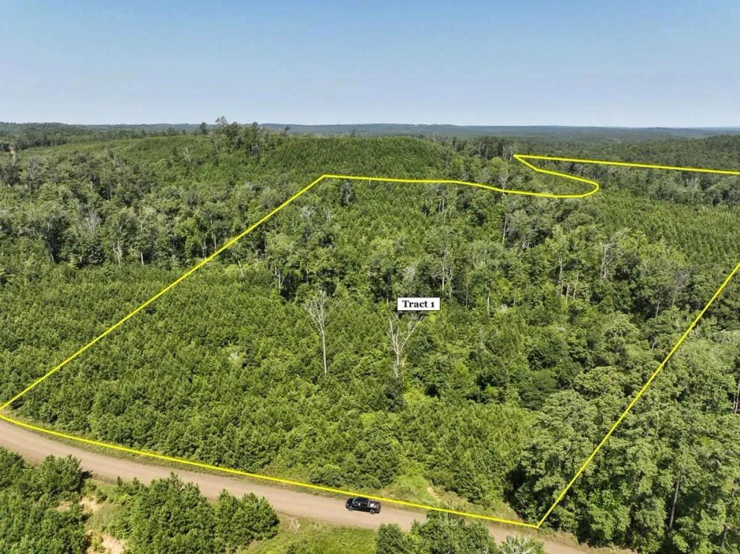 30 Acres | T-1 | Carters Ferry Road | 1007