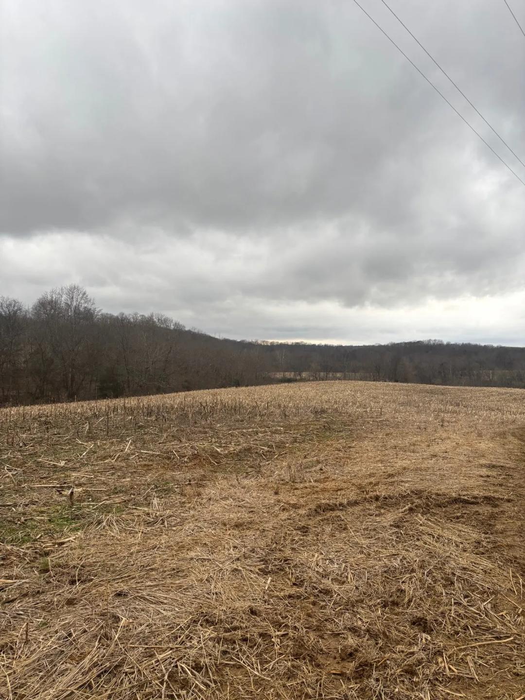 54+/- Acres For Sale