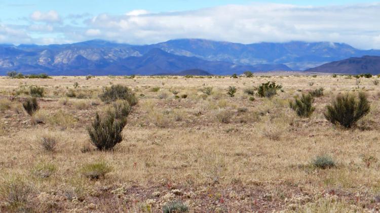 160 acres New Mexico  Mini-ranch * camp * rv * build *