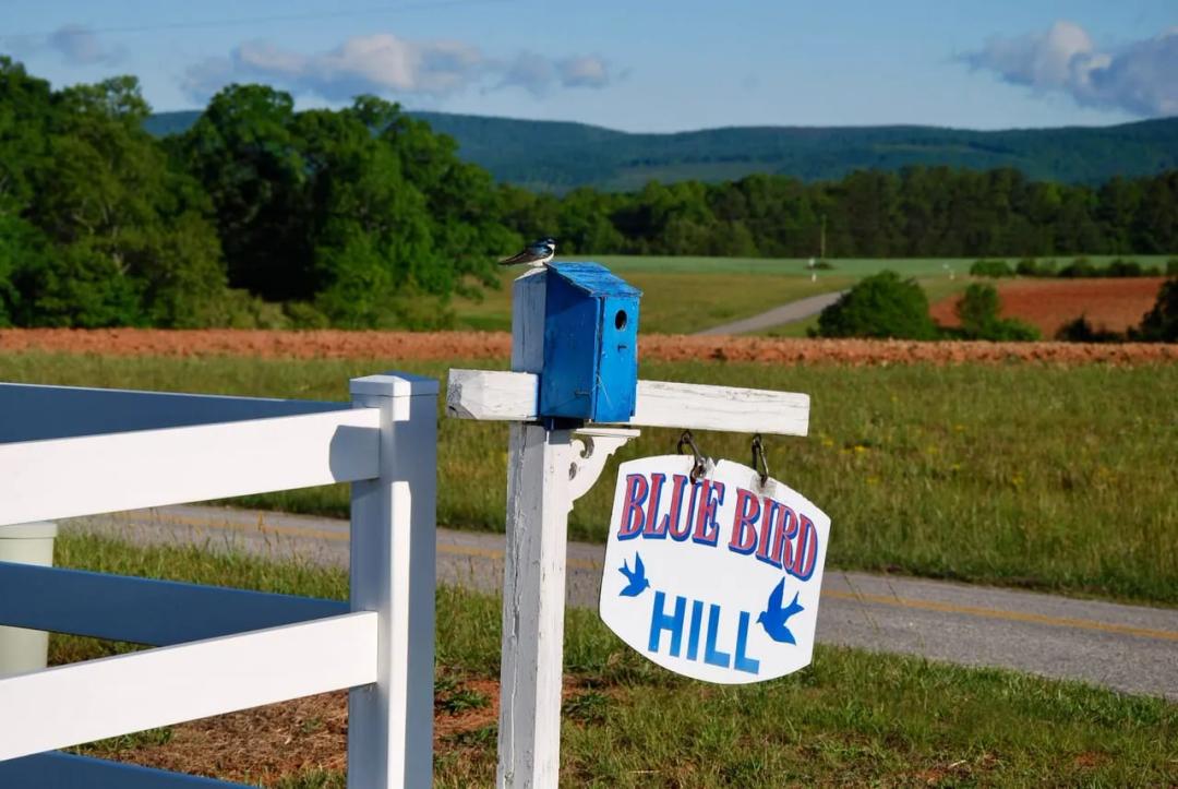 Blue Bird Hill