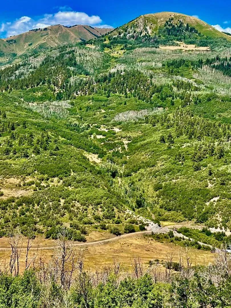 Big Stick Ranch
