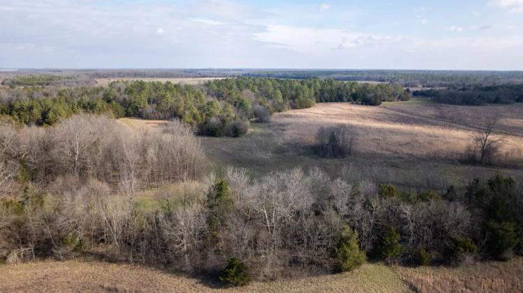 Lowndes County - 100 Acres +/- Woods & Meadows