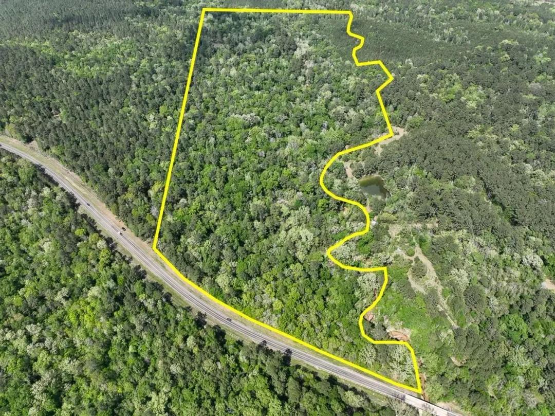 54 Acres | FM 2665 | AA6469