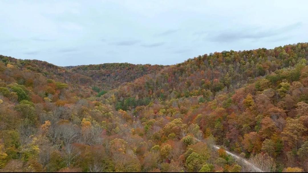 Eastern KY Escape