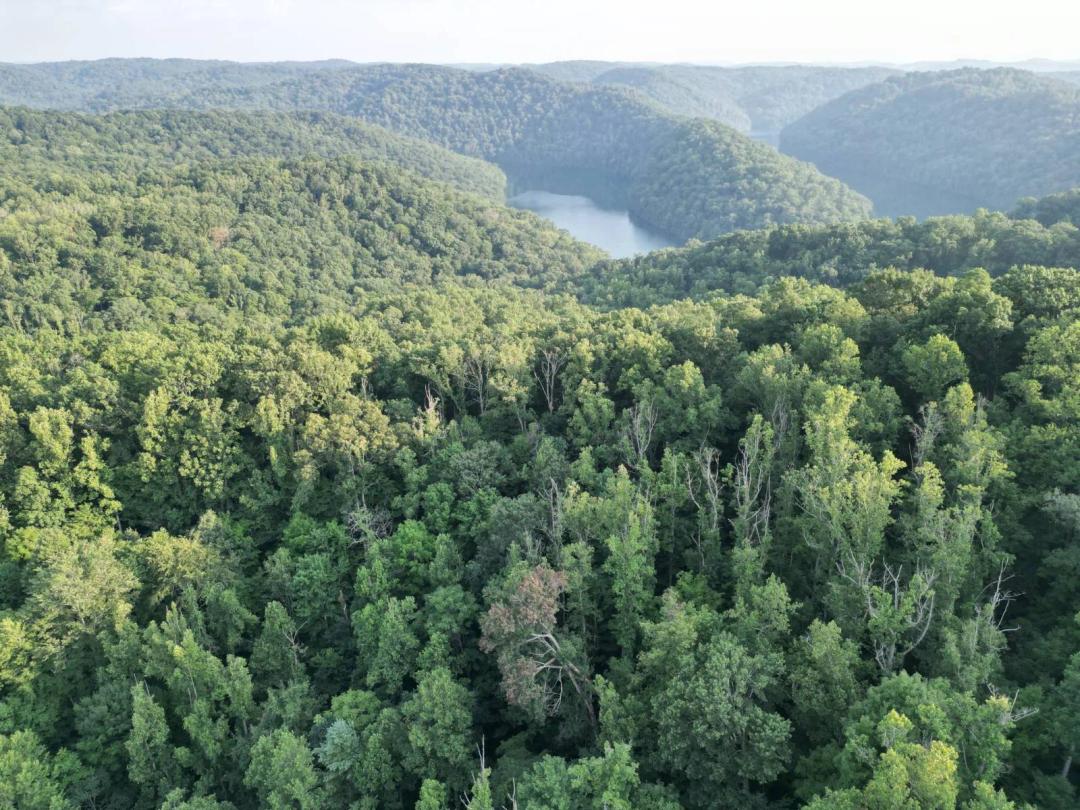 000 Flatwoods Run, Sutton, WV 26601 (76.30 +/- Acres) $199,900