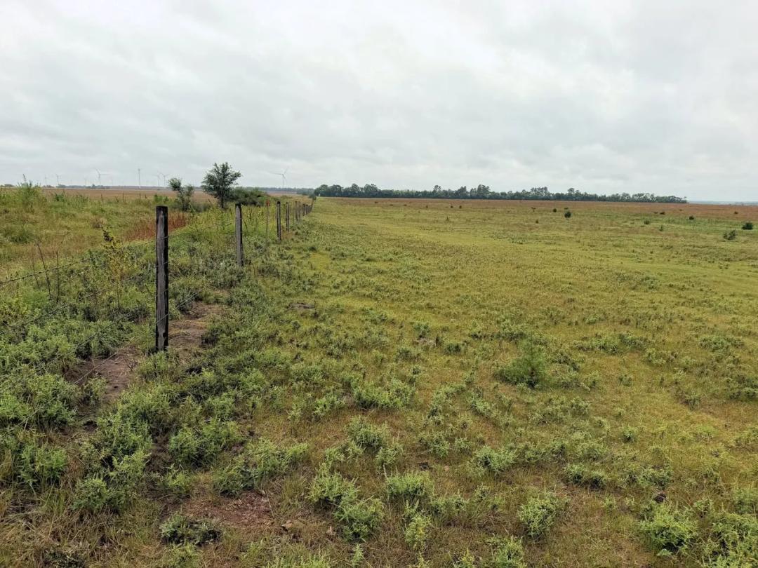 160 Acres+/- Holt County, Nebraska Pasture