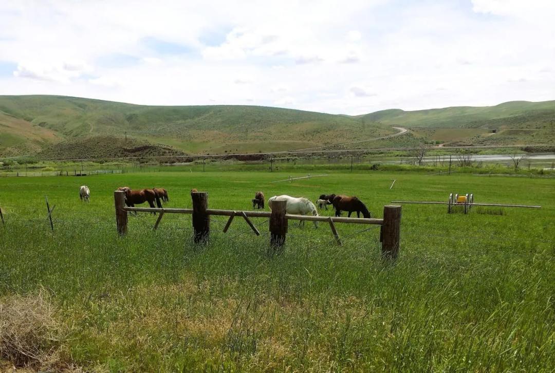 Sleeping Indian Ranch