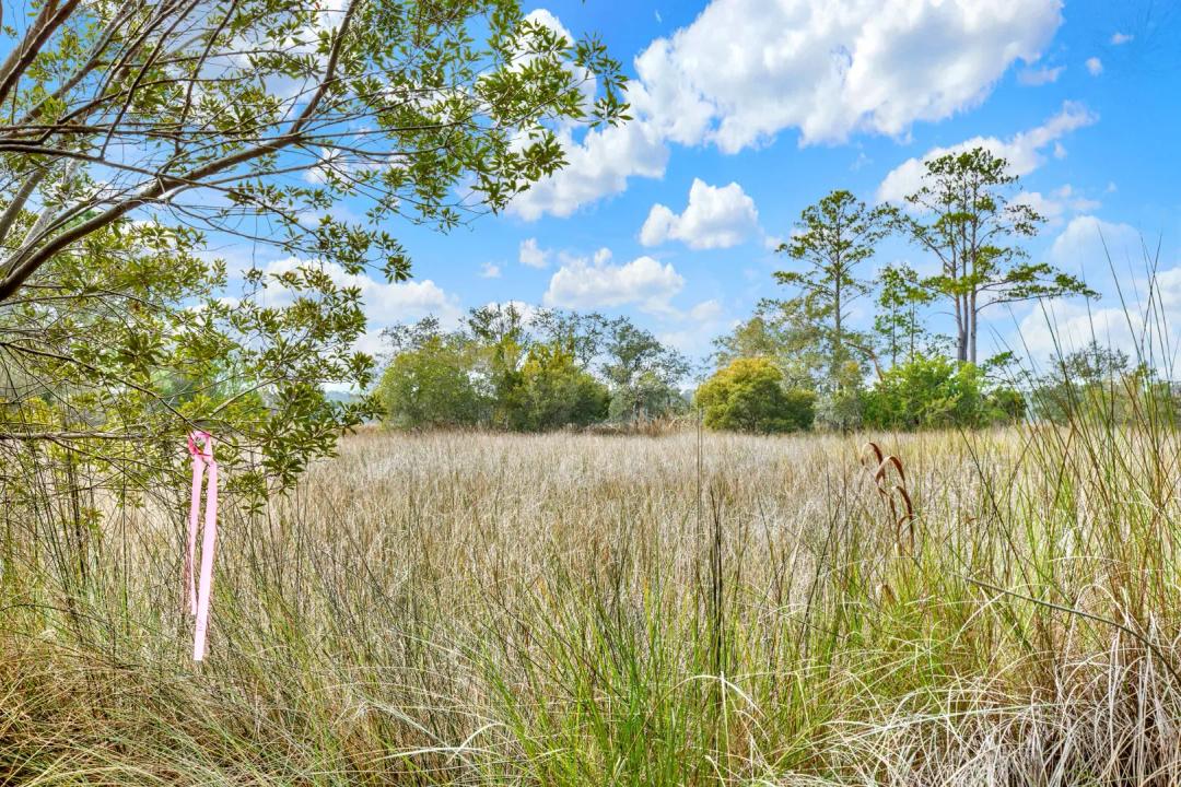Affordable Marsh Front Lot with Access to Deep Water