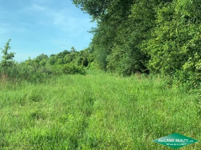 48 ac - CRP Income, Hunting with Home Site Potential
