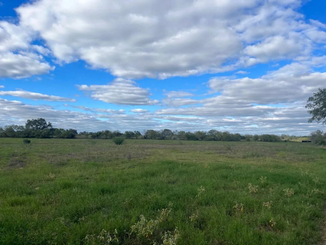 Poteet Ranch