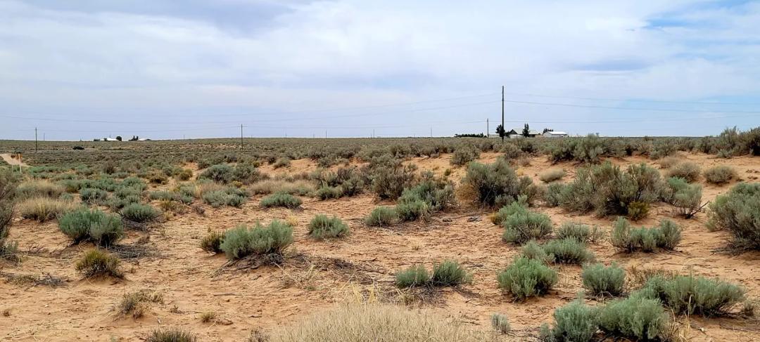 1/2 acre Below Market - Central New Mexico South of Albuquerque