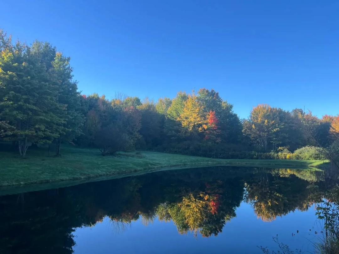 Cabin with 2 Ponds on 18 acres in the Finger Lakes Region in Springwater NY Schribner Rd