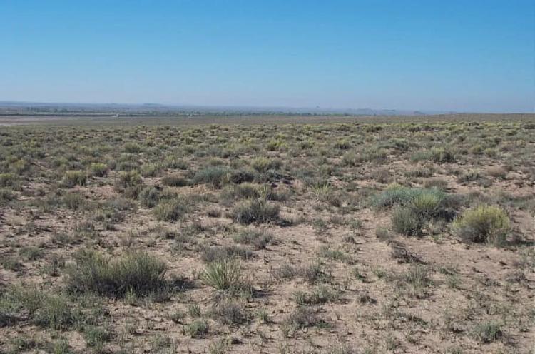 Price Reducedon this 1.25 acre Arizona property near Petrified Forest & Painted Desert