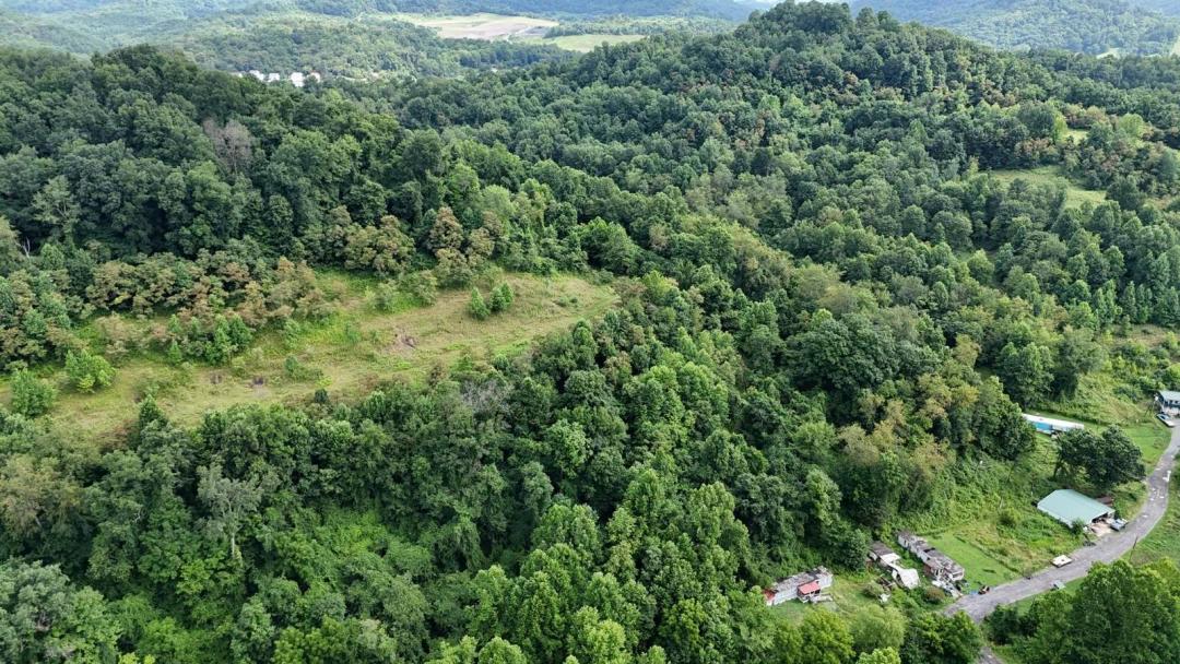 71.6 Acres Along Husky Highway in Marion County