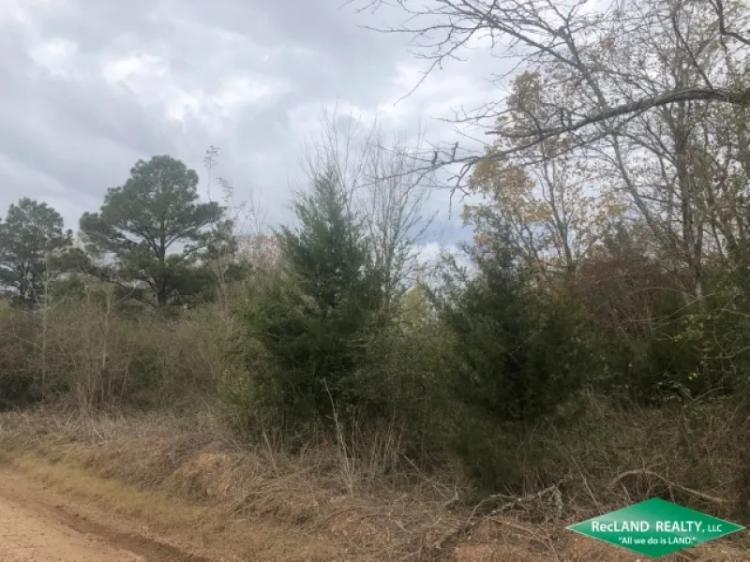 Lots - Two Wooded Lots for Camp or Home - PRICE REDUCED