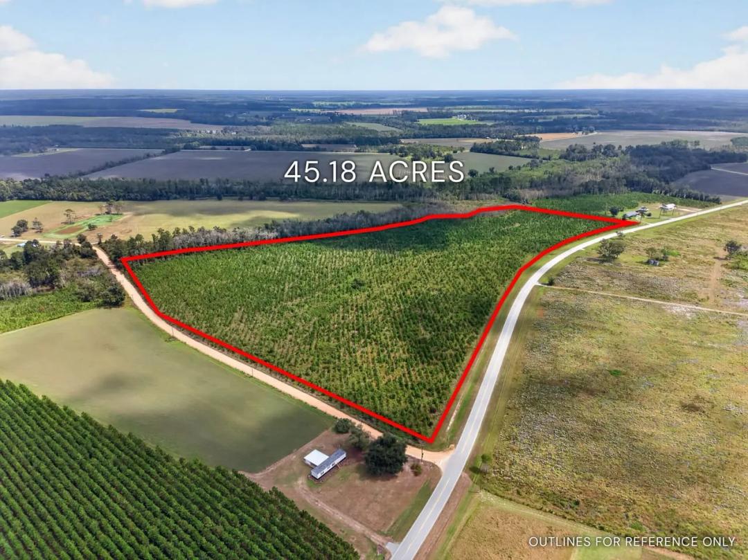 45 Acres - HWY 203 in Blackshear GA