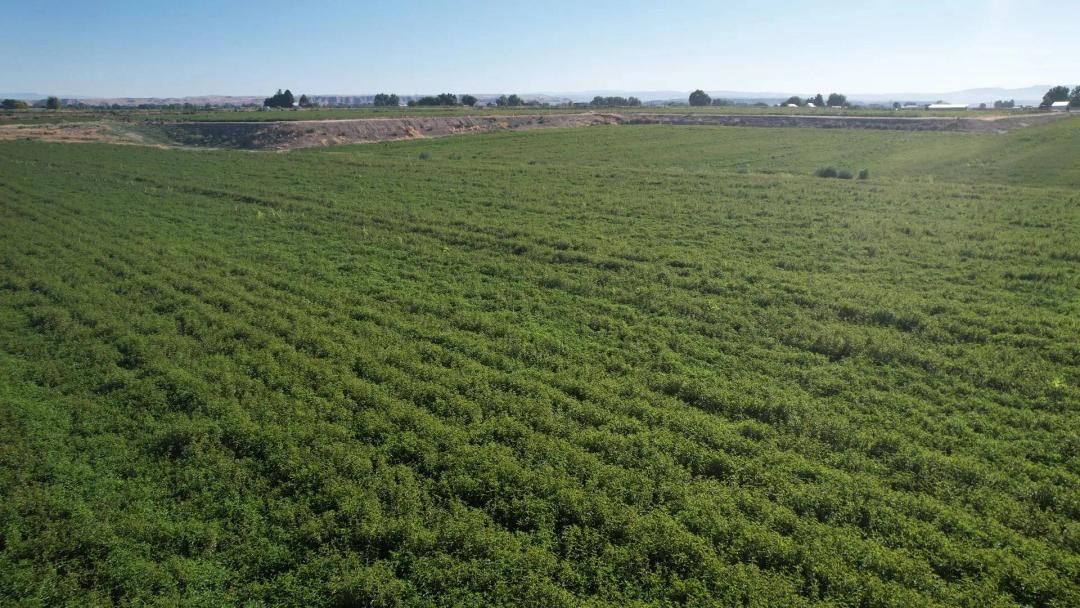 Fruitland Acreage Parcel 1