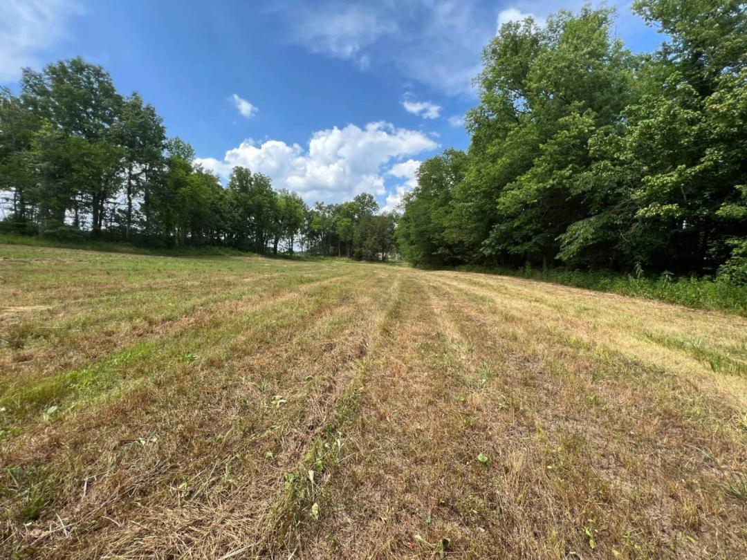 4.04 Acres/Creek Frontage/Cumberland River Boat Ramp Rights