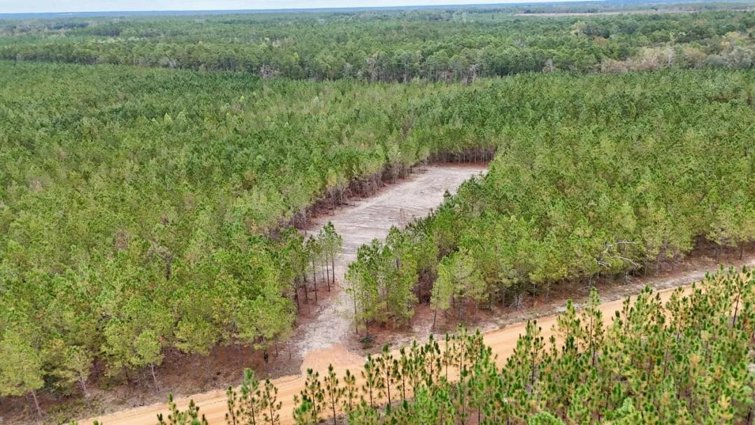 Tract 7 & 8 - Penny Morris Road, Baxley, GA