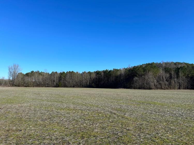 48 Acres in Lafayette County, MS