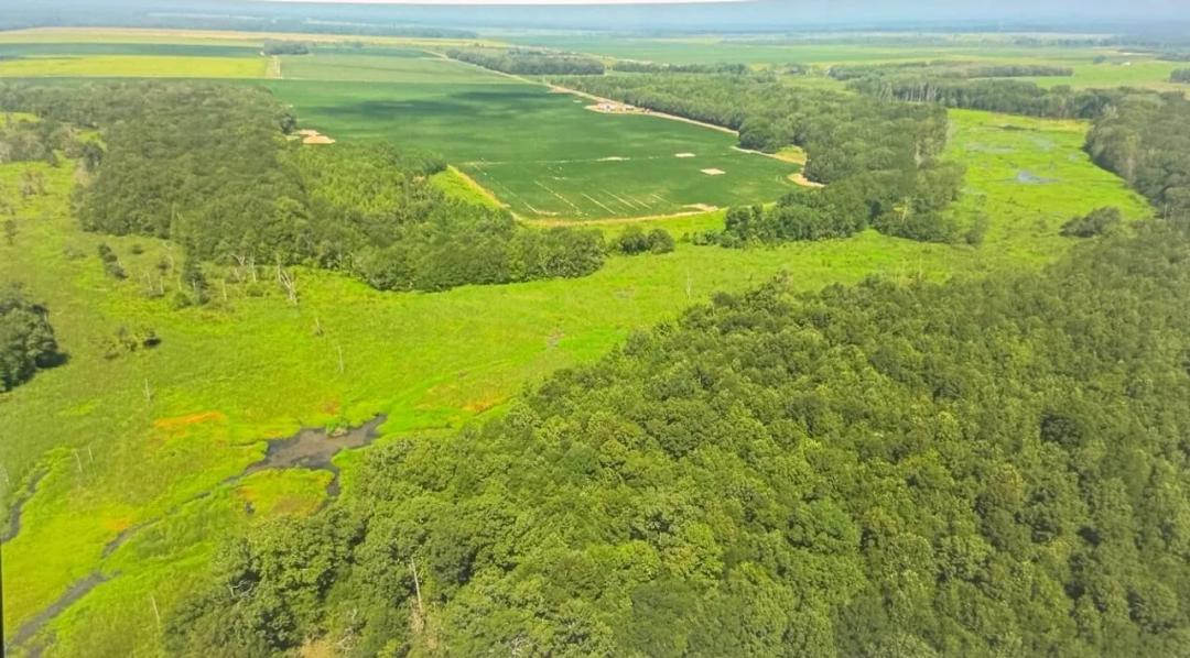 240 acres of Hunting and Agricultural Land, 6227 W Spence Rd, DesArc, AR, Prairie County, Arkansas