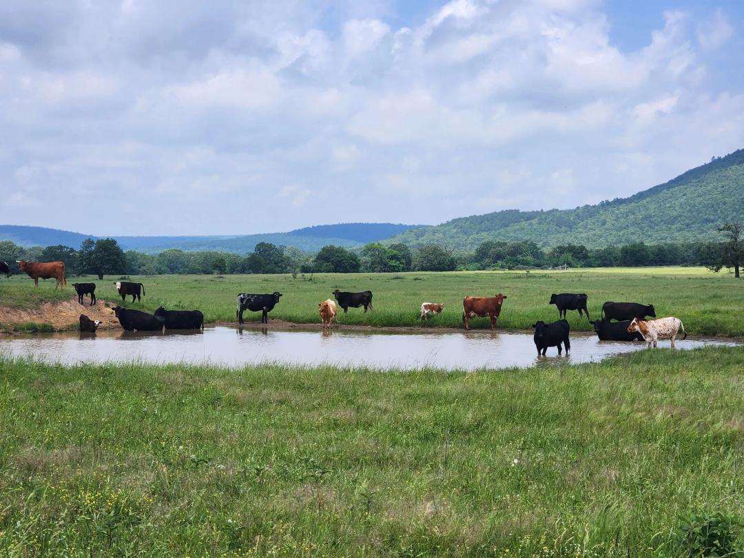 Buffalo Valley Ranch