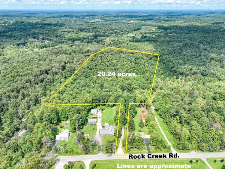 Auction - 20 acres - Geauga County