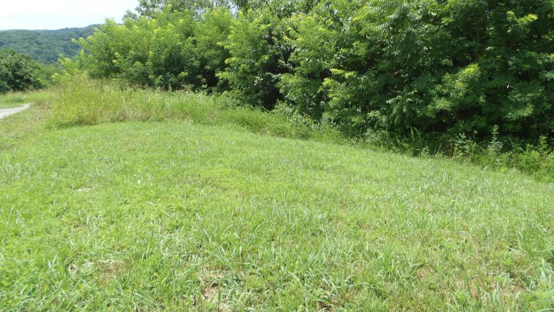 0.56 AC WITH STRETCHED MTN VIEWS & GREAT BUILDING SITE IN “THE POINTE”