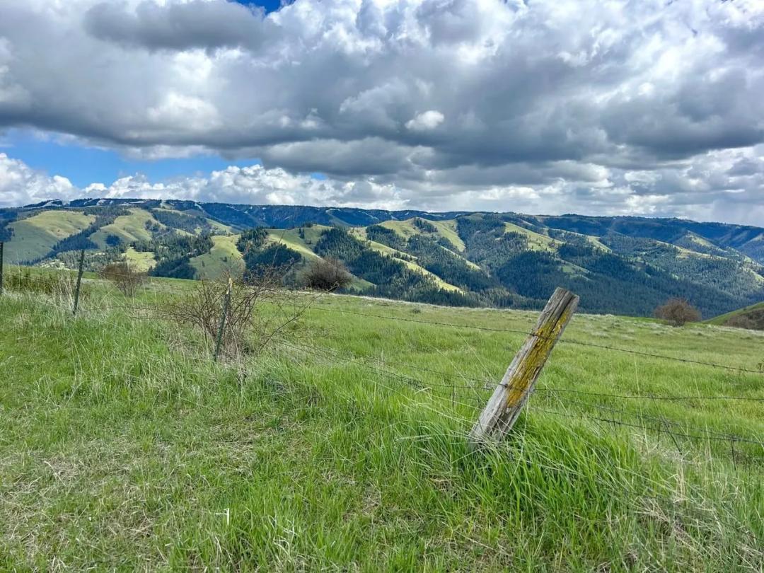 Hansell Road Mountain Property