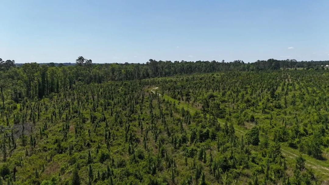 Deer Run Rd - 61 acres