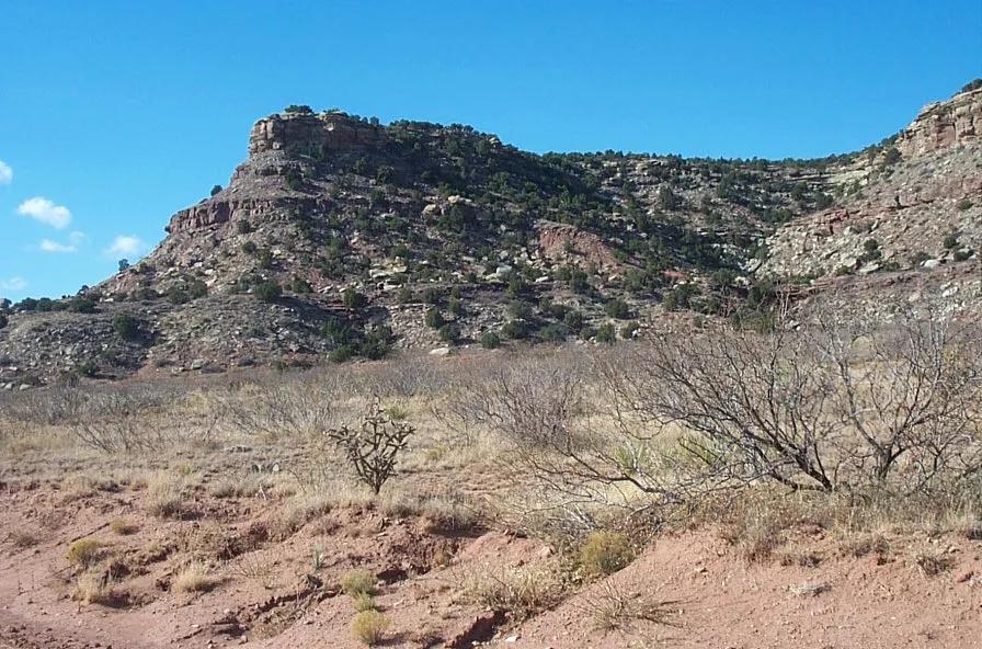 5 acres scenic Rancho Lake Conchas unimproved land - Mobiles Modulars allowed