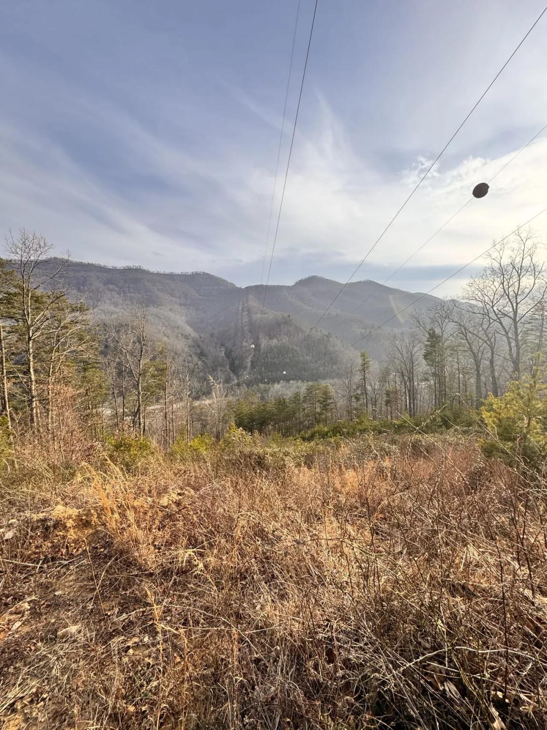 138.40 +/- Acres in Kentucky's Elk Management Zone | Secluded Mountain Hunting & Recreational Land | Harlan County