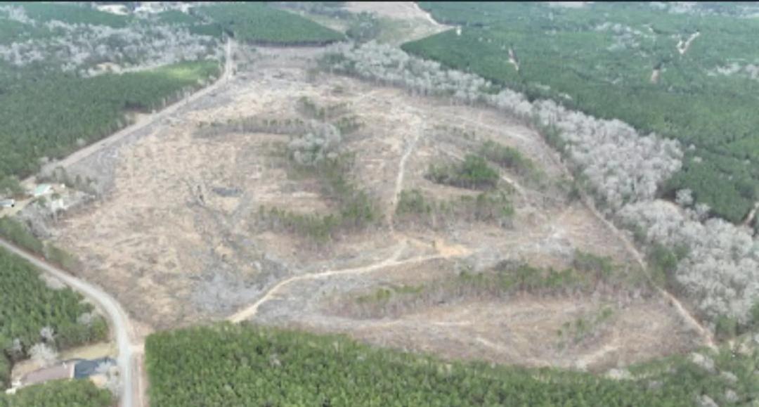 Highway 127 Tract A, LaSalle Parish, 36.72 Acres +/-