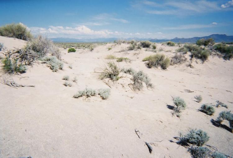 10 acres of Western Utah Desert - NE of Wendover - No Restrictions