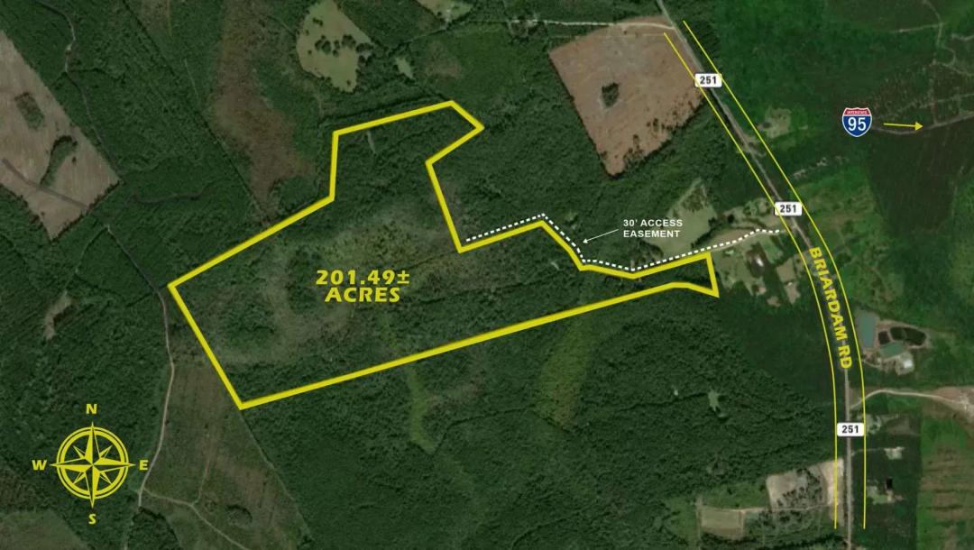 201± Acres of Pristine Georgia Hunting & Recreation Land: McIntosh Co., Georgia