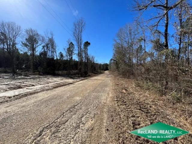11.69 ac - Wooded Tract for Home Site & Hunting