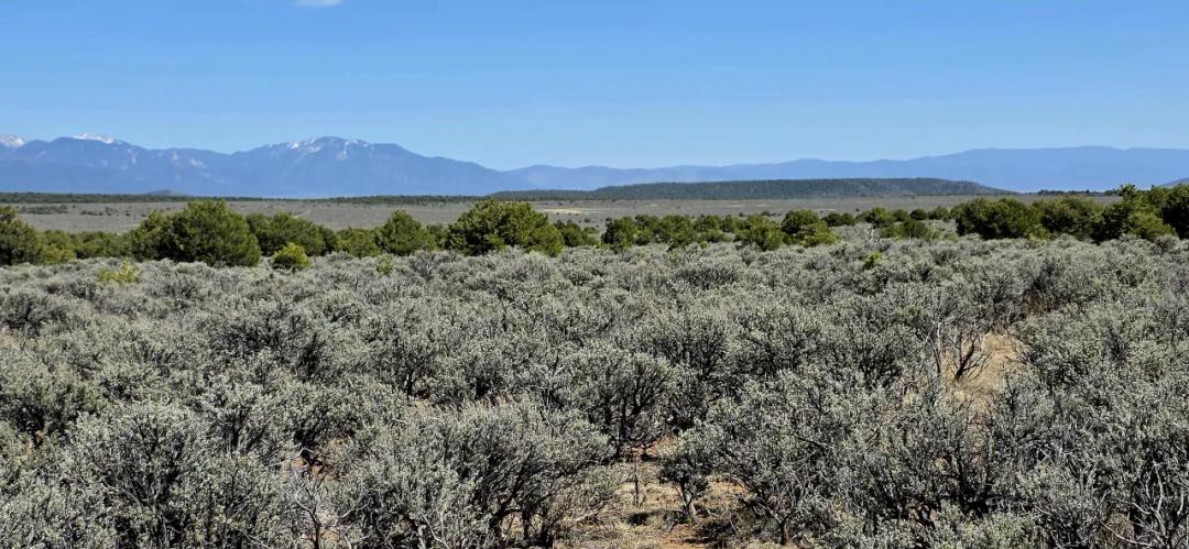 1/2 acre Taos New Mexico - Camp RV Build - Bring the Bus!!