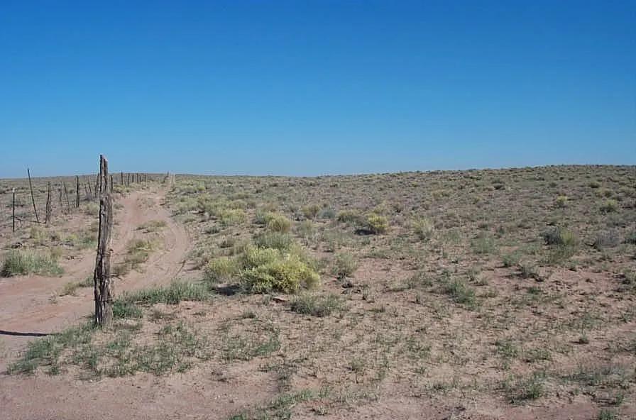 Scenic Sunny Arizona . Near Holbrook, Petrified Forest and Painted desert