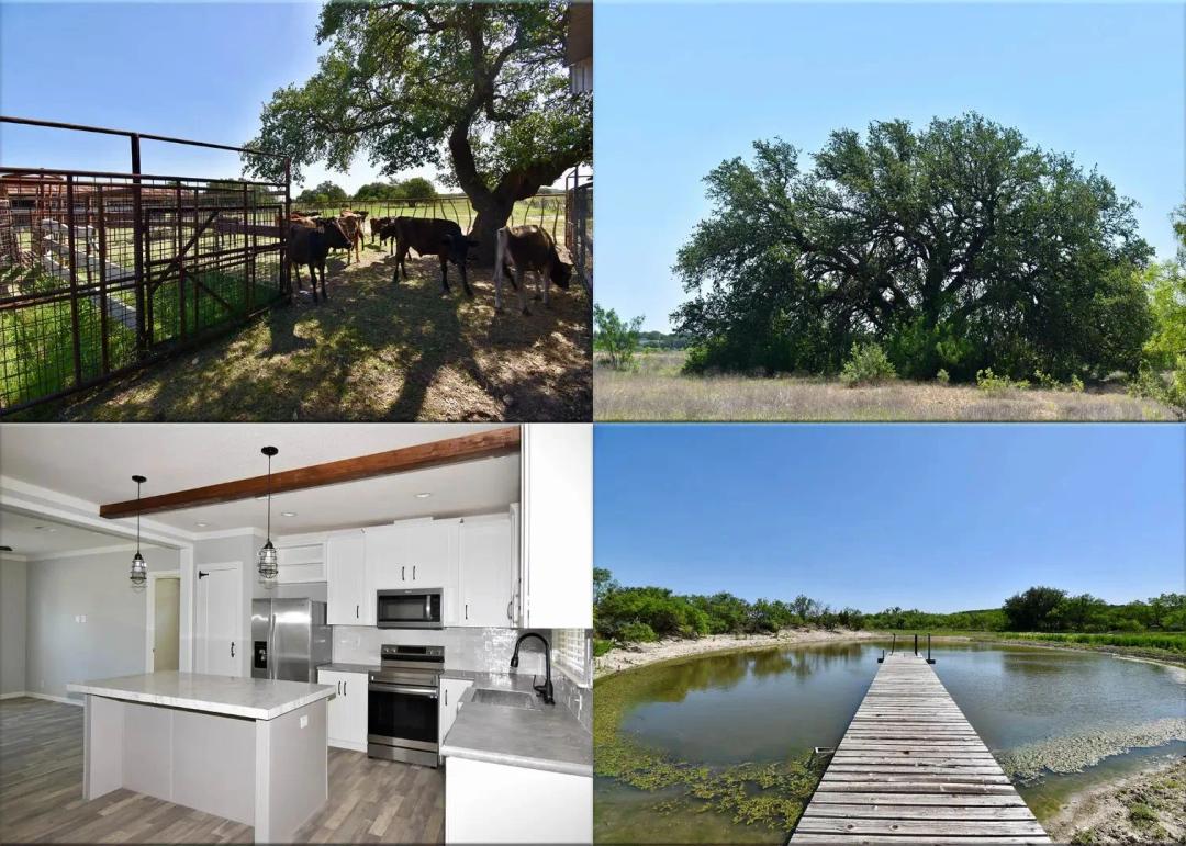 539.38 +/- Acre Productive Cattle Ranch & Hunting