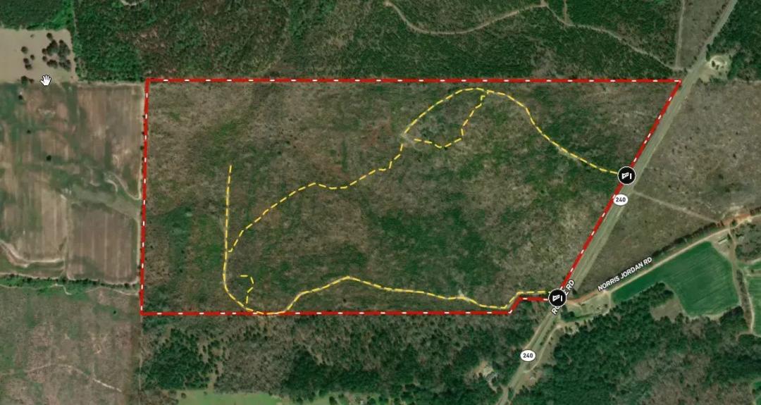130.518 acres in north Marion County