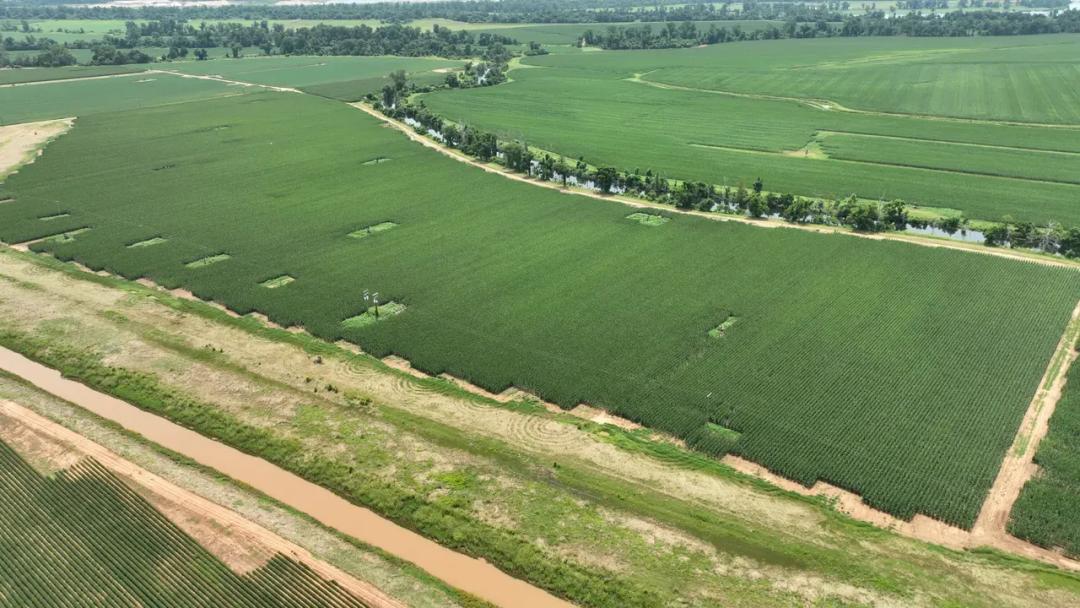 Douglas Farms at Gilliam Louisiana, Caddo Parish 547 +/- acres