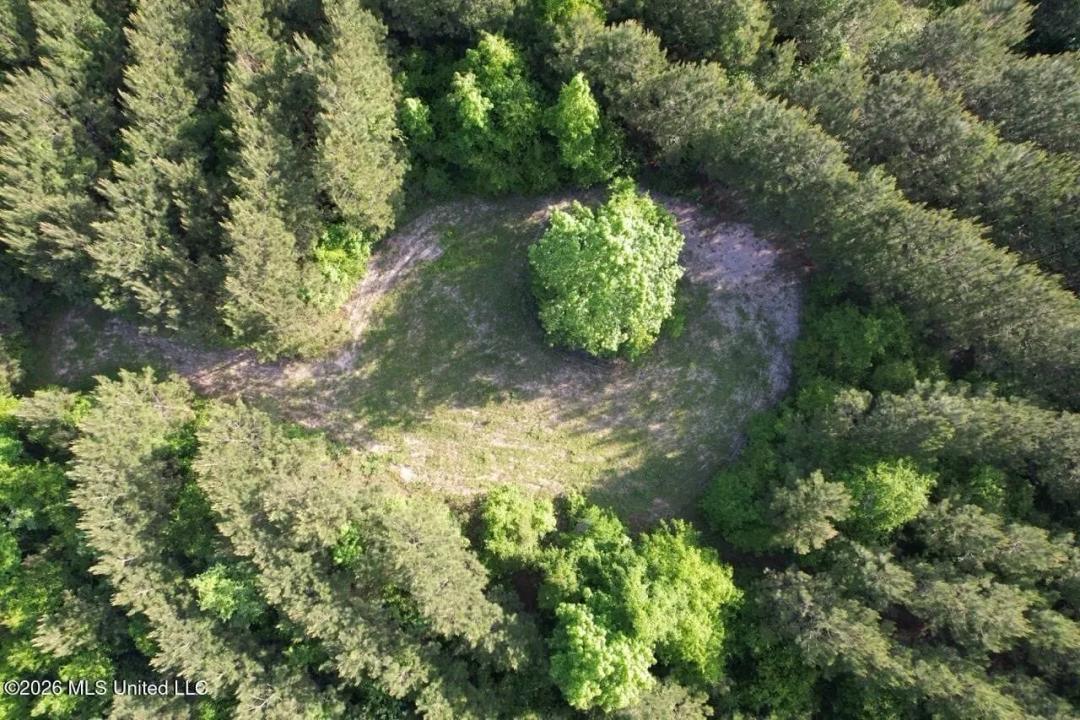 56 Acres in St. Helena Parish with Black Creek