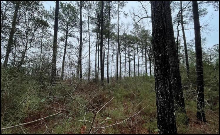 2.74 Acres in Lincoln County in Brookhaven, MS